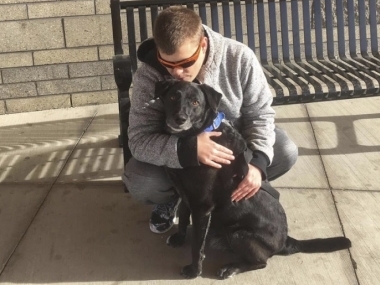 превью публикации Сотни собачников описали своих псов незрячему пользователю Facebook